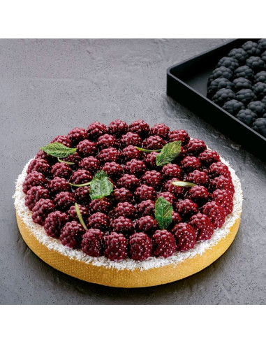 MOLDE TOP24 MORASCake Decor
