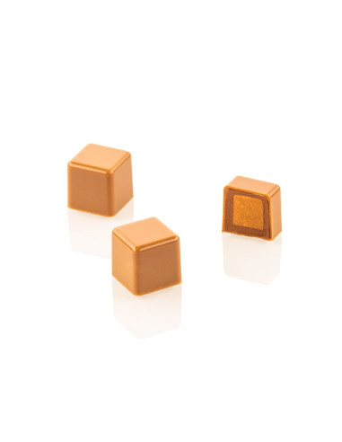 Kit Cubo 01 molde tritan + siliconaTritan