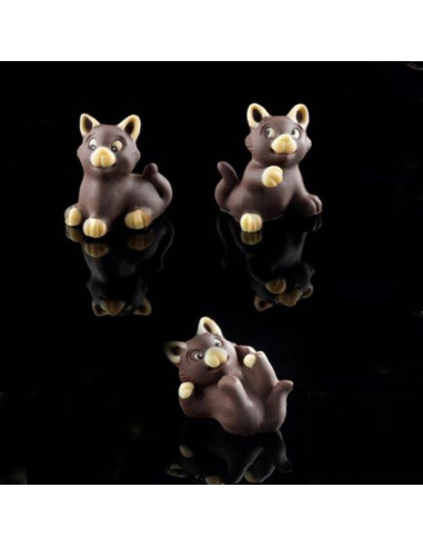 M. DS12253 GATOS SIMPATICOS 2p 3i. DECOSILZoo