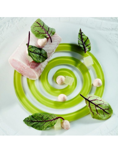 MOLDE GOURMAND ESPIRAL 300x400Gourmand