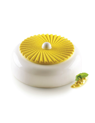 MOLDE PLISSÉ 100 D. 140 x 10mm 2c 100mlSilicona Mini-Micro